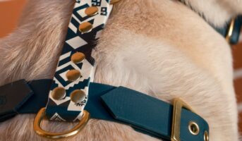 62531cf4-c0b1-495b-af94-77866695935d