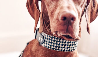 C9F6C19F-54D8-4322-9A5B-B126E9D70DCD