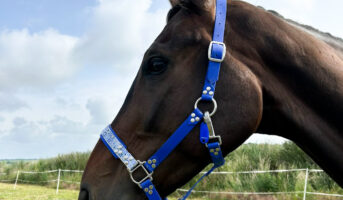 EAA6AD46-9C99-40E9-B303-7BBCDA000A86