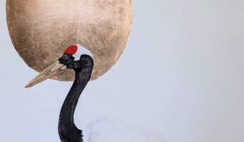 PXL_20250805_161406997.PORTRAIT.ORIGINAL2