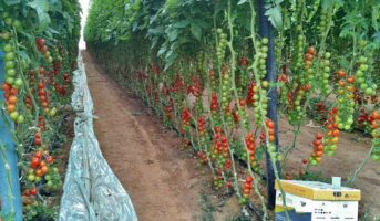 b0c01f1f6d_35694_12612-israeljpg b0c01f1f6d_35694_12612-israeljpg