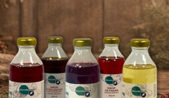 Sirops-enrichis-en-vitamine-C_MerveilleNature Sirops-enrichis-en-vitamine-C_MerveilleNature
